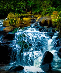  Alagiyawanna Falls