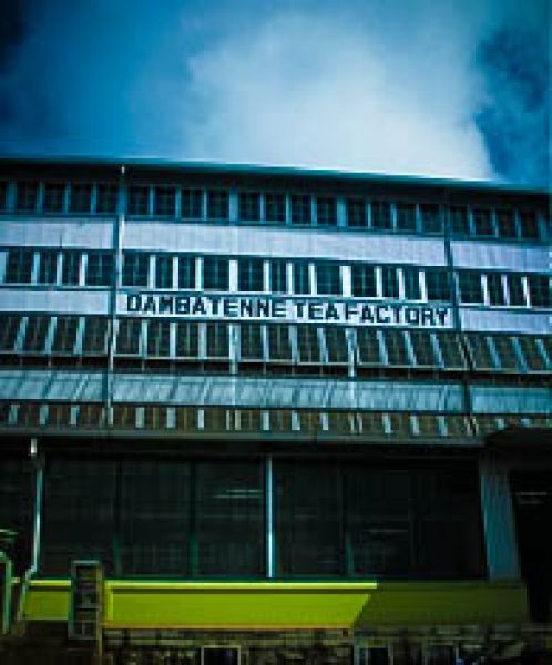  Dambethenna Tea Factory