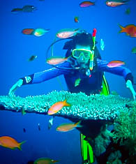  SCUBA Diving Weligama