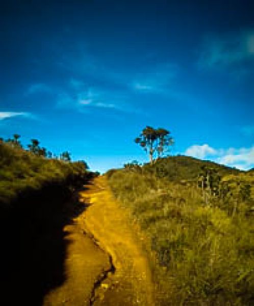  Hortain Plains National Park