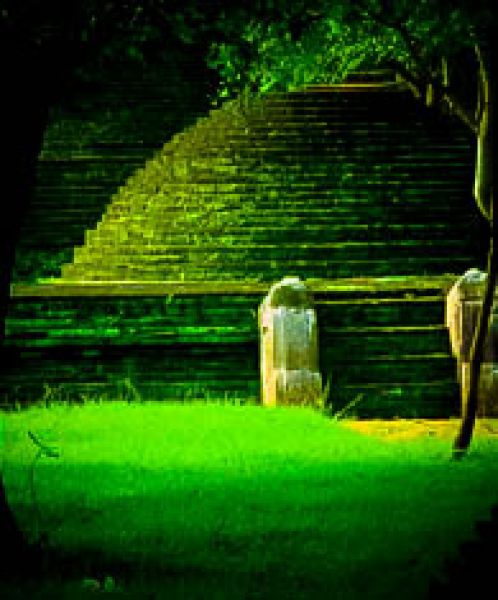  Anuradhapura Ruins